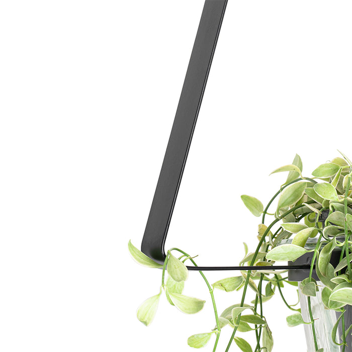 QAZQA Plafondlamp roslini - Zwart - Modern - L 35cm