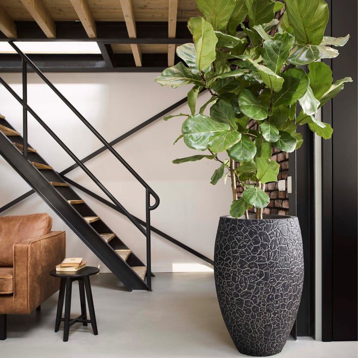 Capi Europe Nature Clay Vaas Deluxe 84 cm