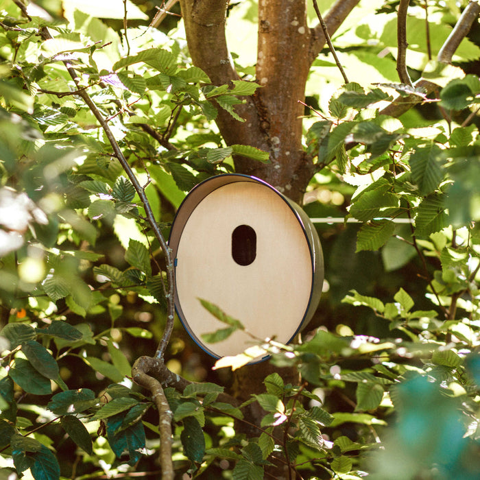 Capi Europe Vogelhuisje