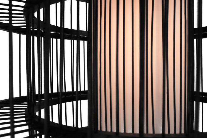 0cedc412-20d2-452d-b22d-f3f1935d234f-afbeelding4.jpg (4119925) 