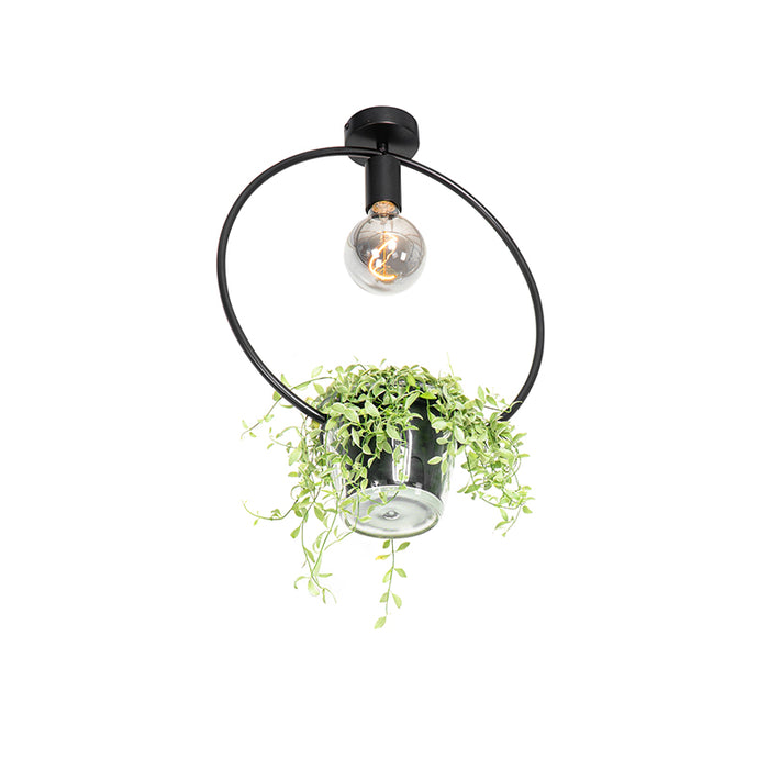 QAZQA Moderne plafondlamp zwart met glas rond - Roslini