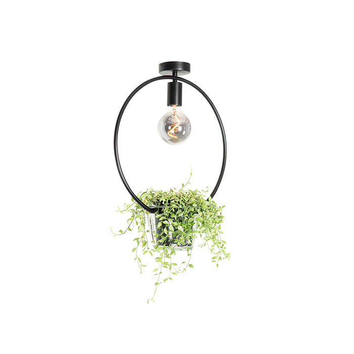 QAZQA Moderne plafondlamp zwart met glas rond - Roslini