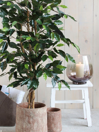 Mica Decorations Ficus Kunstplant - H150 x Ø85 cm - Groen