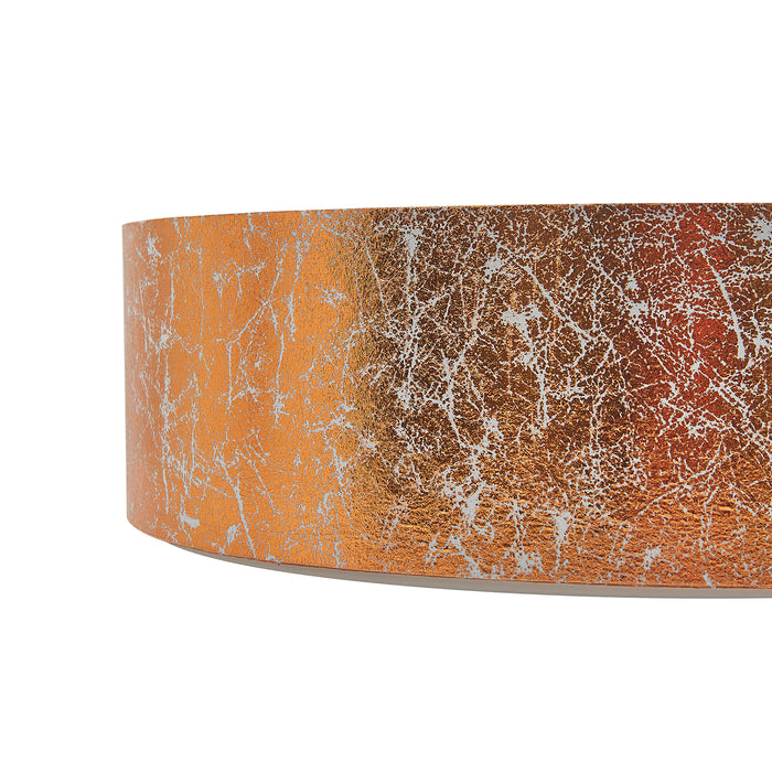 7875cb7f-be4a-45e7-85c6-1dfcf76c323f-afbeelding9.jpg (4147447) 