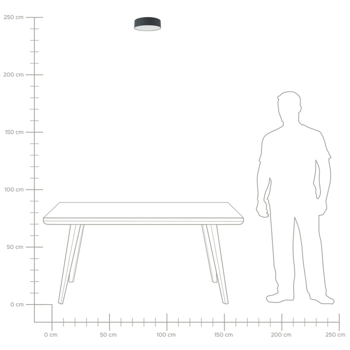 fc7773f7-347b-4a48-8c20-10bfdb5eefde-afbeelding9.jpg (4147637) 