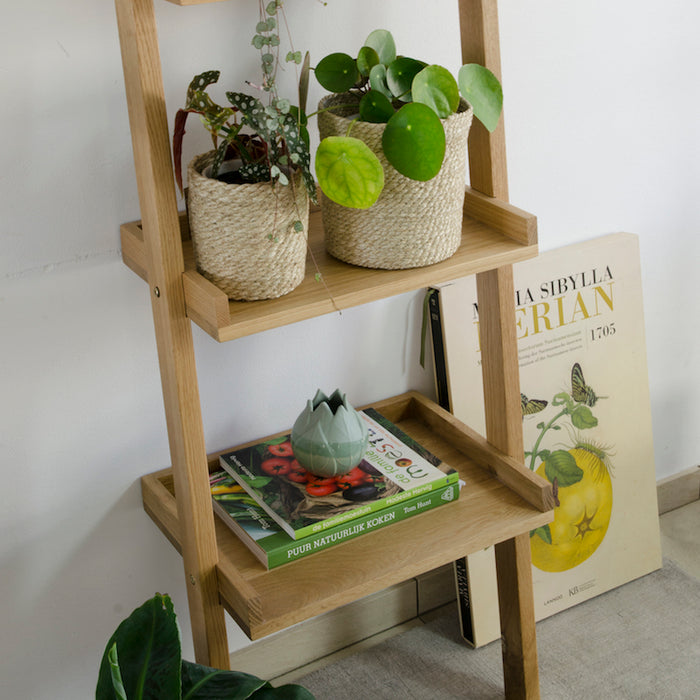 fc0413ad-5b05-4b08-8600-e36334d1a051-afbeelding4.jpg (4162207) 