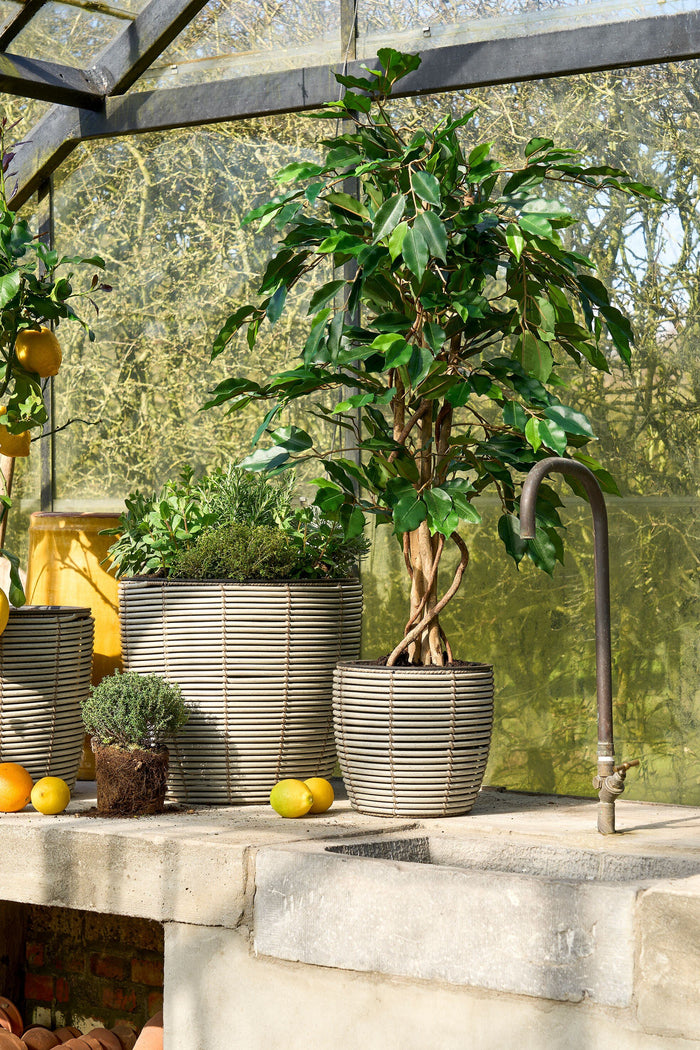 Mica Decorations Ficus Kunstplant - H105 x Ø60 cm - groen