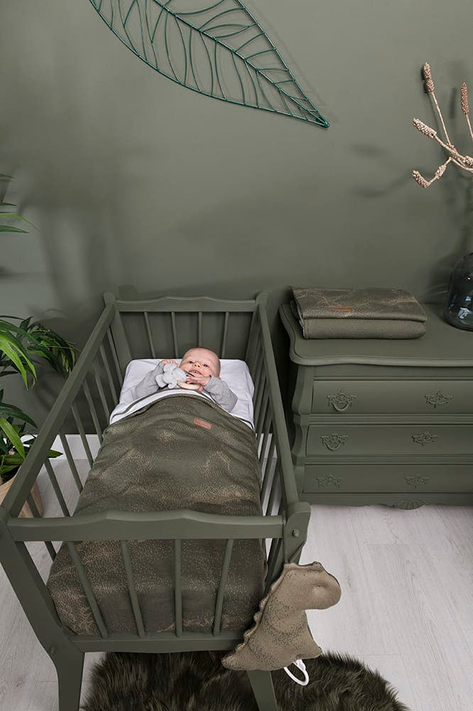 Baby's Only Muziekdoos dino Marble - Khaki|Olive