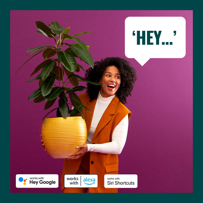 WiZ Lamp - Slimme LED-Verlichting - Warm- tot Koelwit Licht - E27 - 6…