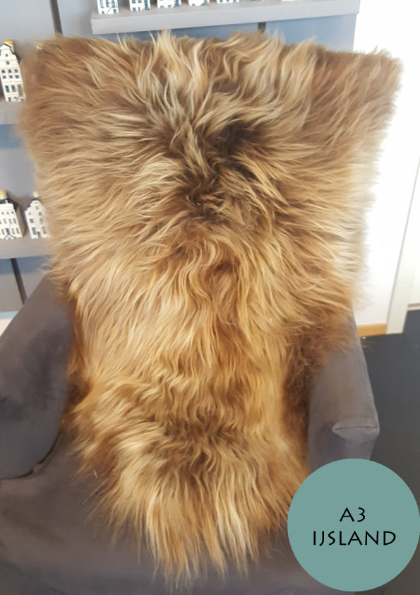 510b5e31-e5af-48ef-bf8a-d59569d1c804-sfeerbeeld.jpg (4285054) 