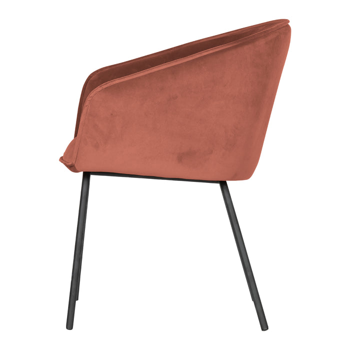 293907-x2.jpg (4297177) 