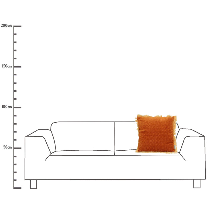 298014-x04-c.jpg (4305567) 