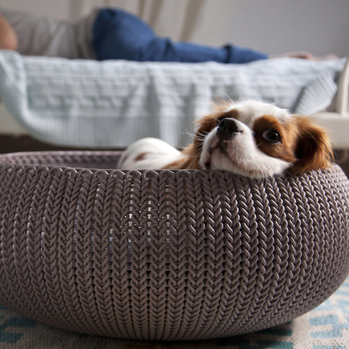 curver-cozy-pet-bed.jpg (4306753) 