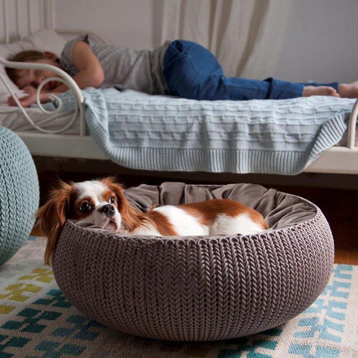 curver-pets.jpg (4306754) 