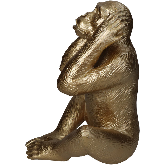 MOOS Bliss Aap Horen