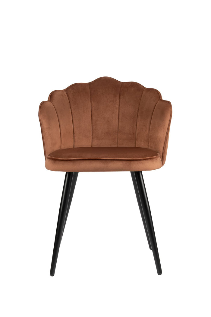 b76d7dac-528c-4595-a3c0-d572ae03b6fb-afbeelding3.jpg (4468426) 