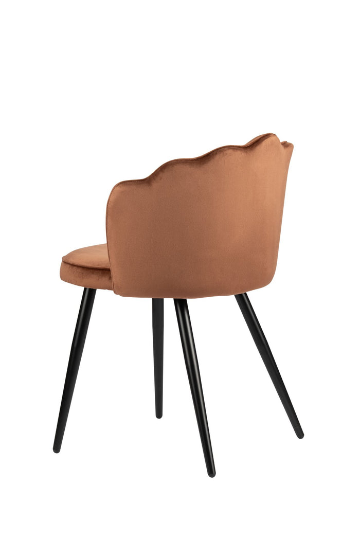 b76d7dac-528c-4595-a3c0-d572ae03b6fb-afbeelding5.jpg (4468428) 