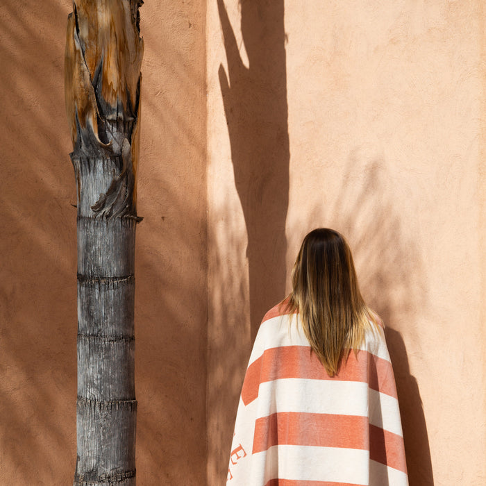 93addfb6-e331-4085-a857-70f407fc0788-afbeelding4.jpg (4487463) 