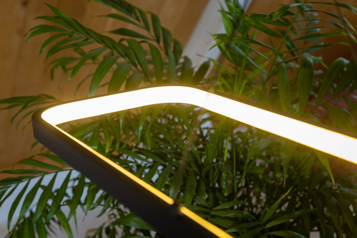 133ab222-8389-4b8d-99ee-68f7b57bf4ca-afbeelding4.jpg (4490815) 