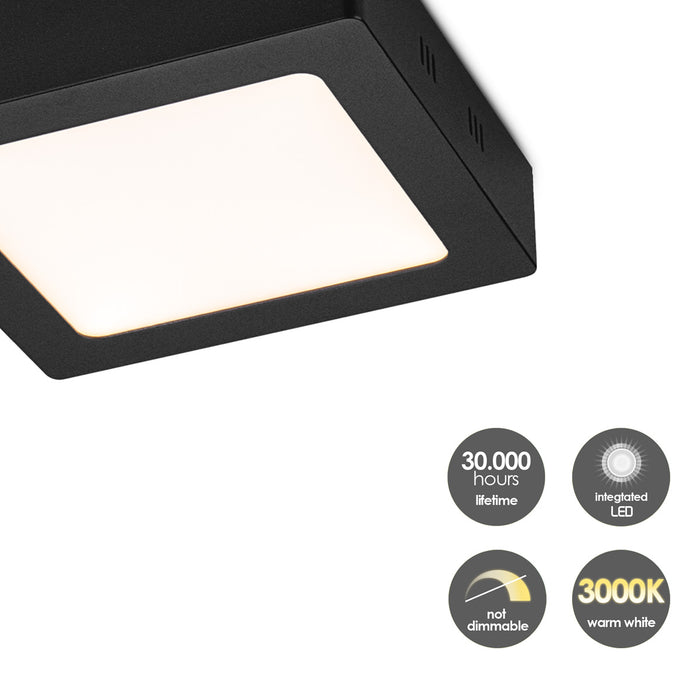 607b4f29-340d-47c6-9209-21ceffa8e35d-afbeelding11.jpg (4508705) 