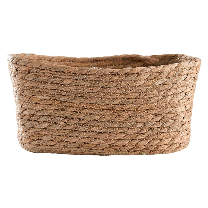 654cad9f-f580-47c2-ba0c-3ac9cf038677-afbeelding5.jpg (4511447) 