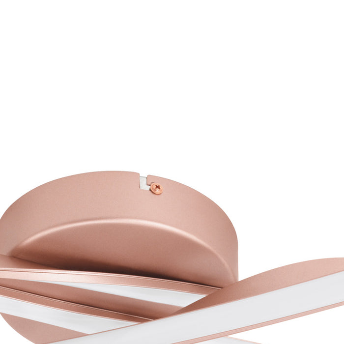 07d0cb3c-bd62-47dd-85f5-f6fafaeccb02-afbeelding4.jpg (4554705) 