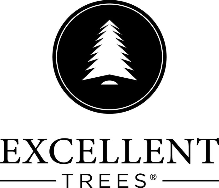 Kerstboom Excellent Trees® LED Otta 150 cm met 190 lampjes