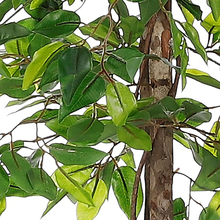 Mica Decorations Ficus Kunstplant - H150 x Ø50 cm - Groen