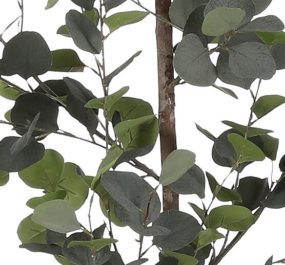 Mica Decorations Eucalyptus Kunstplant - H150 x Ø30 cm - Groen