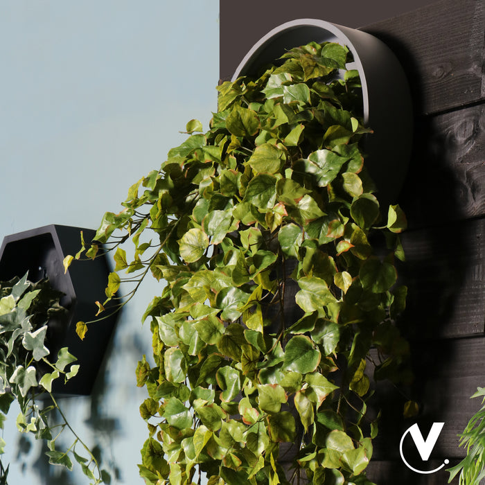 76f55c91-841b-4feb-875b-0a6c7c747ebd-sfeerbeeld.jpg (4569227) 