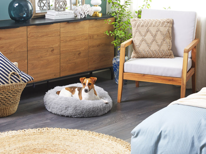 6aff09e0-21b6-4aed-999c-2ae903bbc0b7-sfeerbeeld.jpg (4596732) 