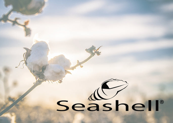 c10488ab-6105-4f70-a5fc-5dd407835f9c-afbeelding9.jpg (4598252) 