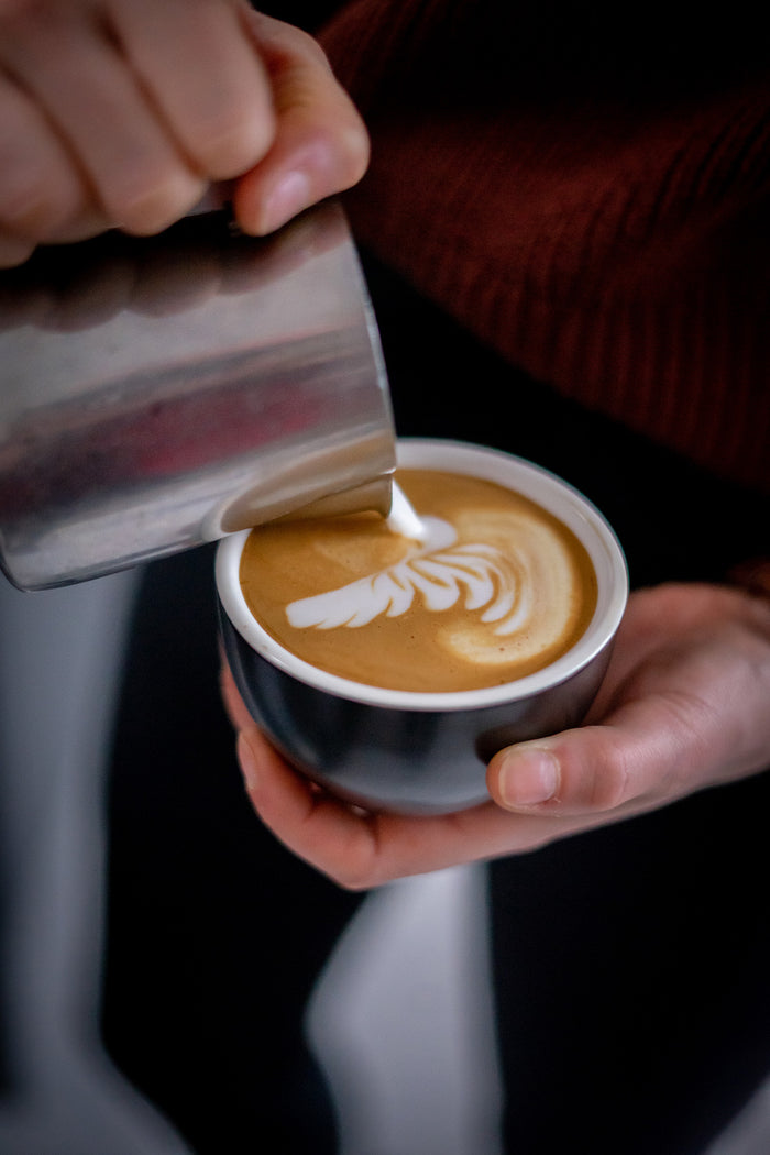 Barista Innovations Nero - Koffiekopje Regular - Set van 6 -150ml