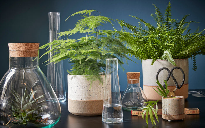 0f9fb170-bfb2-4a24-92c3-2443e4a1693e-afbeelding8.jpg (4665241) 