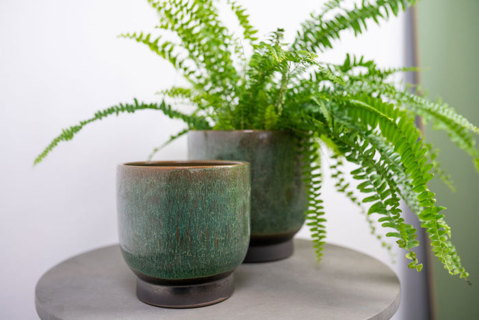 5d19c387-5ad9-4a65-874e-99d2b1884c10-sfeerbeeld.jpg (4677370) 