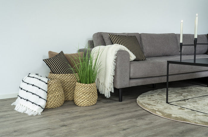 b0aa2729-0cf5-4a58-a9a4-fee31673dd02-sfeerbeeld.jpg (4678113) 