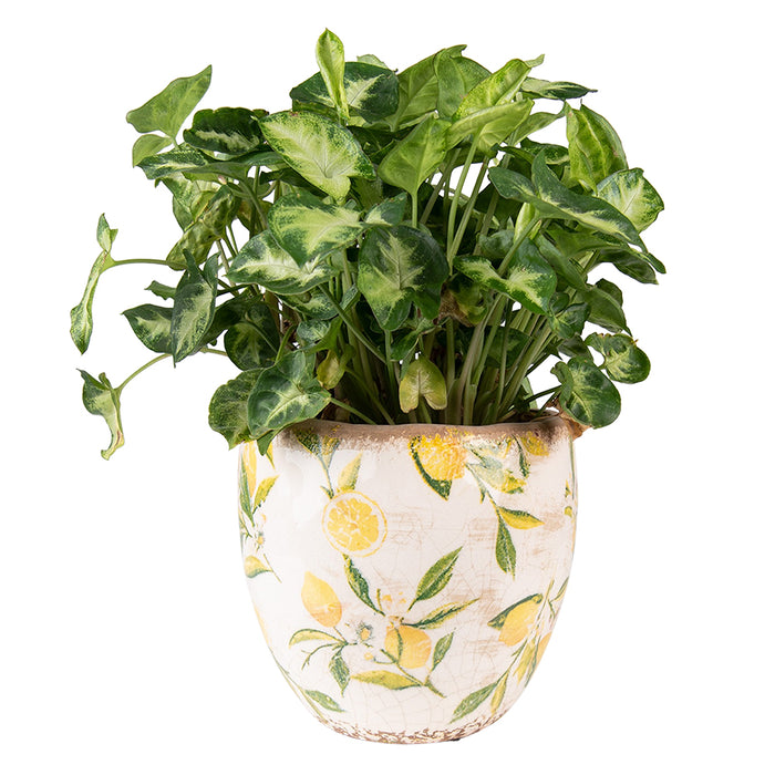 0132e041-440d-46cc-97d9-a319b4332cb5-afbeelding10.jpg (4682643) 