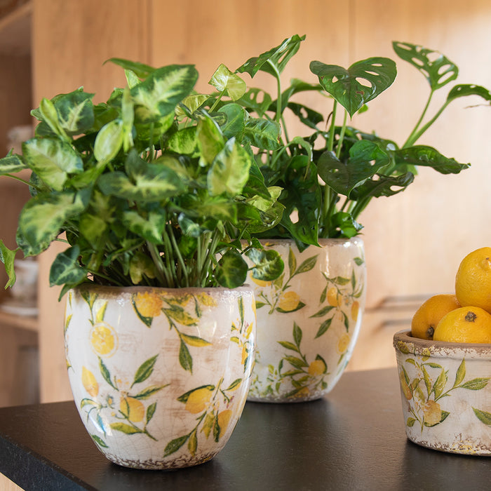 0132e041-440d-46cc-97d9-a319b4332cb5-afbeelding11.jpg (4682644) 