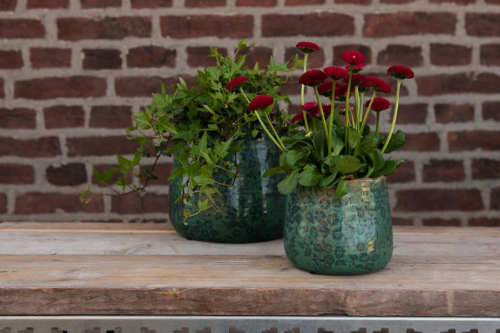 d1f3150e-0975-4d7d-bf19-586814b99225-afbeelding10.jpg (4693418) 