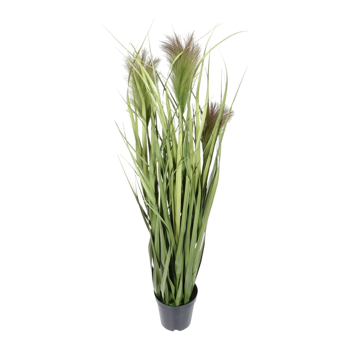 8d7f565f-e237-46d1-bb70-d74888e13865-afbeelding7.jpg (4737099) 