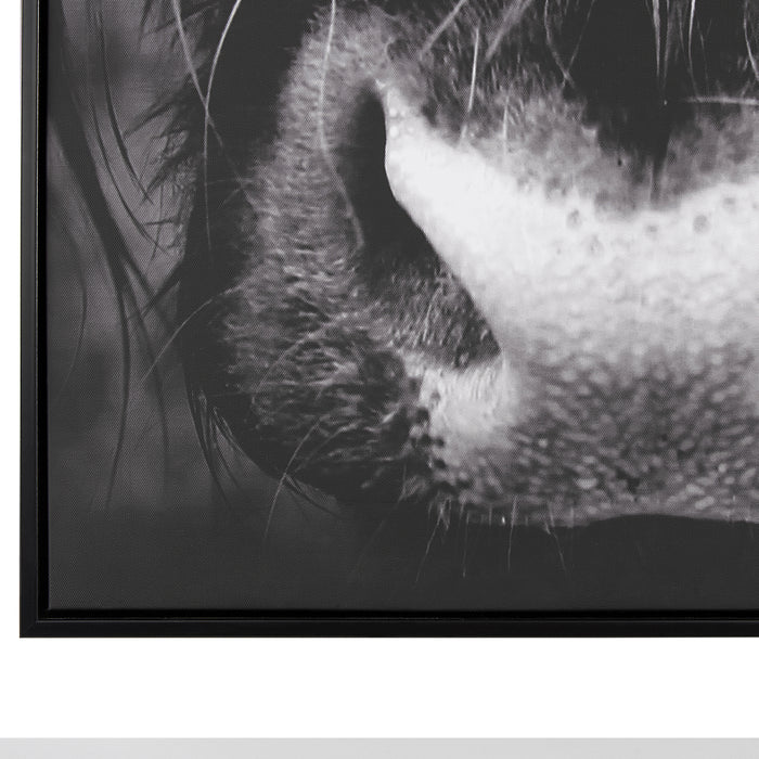 29263934-0938-4719-90d1-aed835844797-afbeelding4.jpg (4740161) 