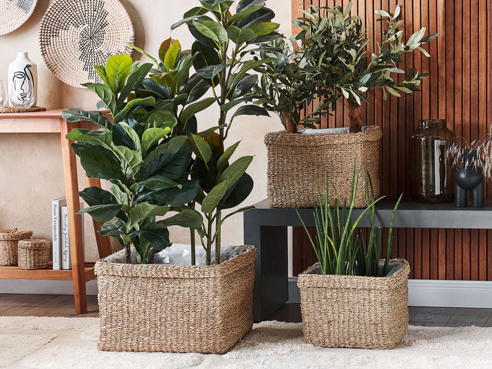 e2d613a4-7049-4451-bab2-ead3dff56caa-sfeerbeeld.jpg (4751200) 