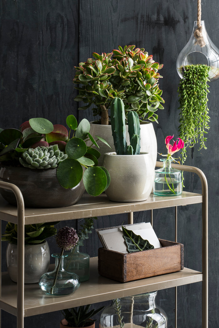 27216e05-2454-4a25-9012-7102cf461748-afbeelding4.jpg (4752970) 