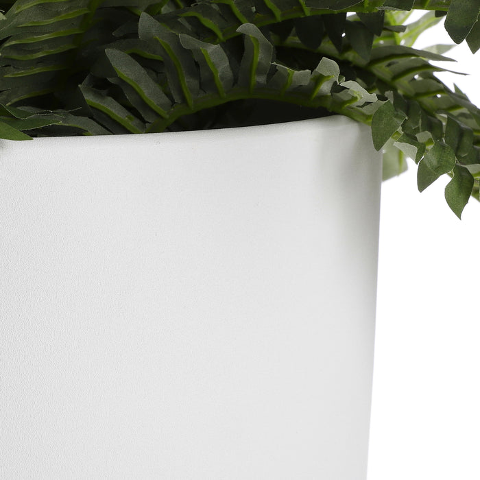 8bf018e3-91e6-4832-b9b7-fe983455a6a9-afbeelding3.jpg (4833039) 