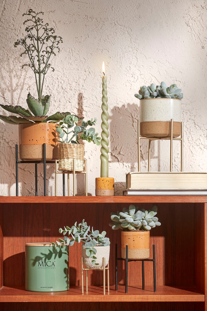 ab561c63-5f6f-4aa8-a262-b9a22c149d42-afbeelding8.jpg (4838499) 