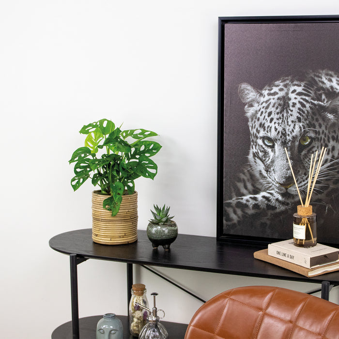 185281c5-93b3-4d5c-bd2b-36dd96dbd792-afbeelding4.jpg (4840855) 