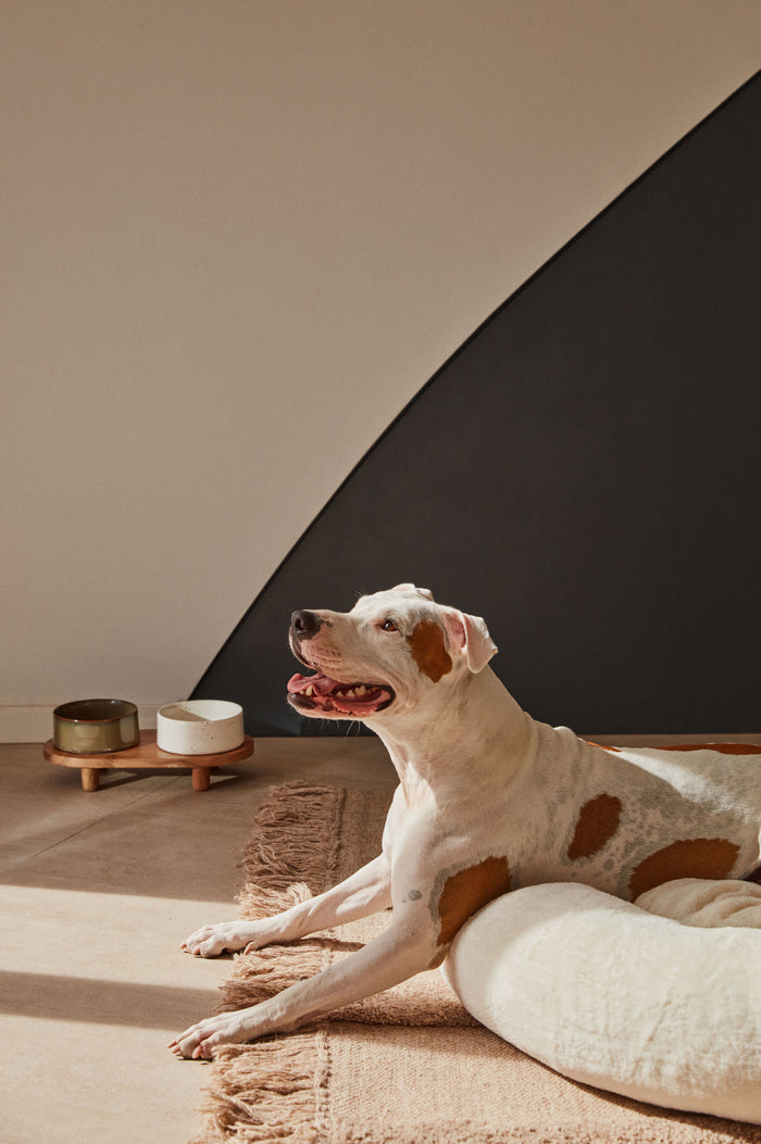 Kave Home - Set van 2 houten voerbakjes met houten standaard voor