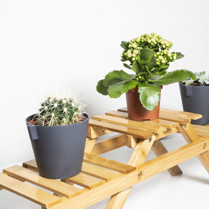 QUVIO Plantenstandaard met 3 planken - Bamboe