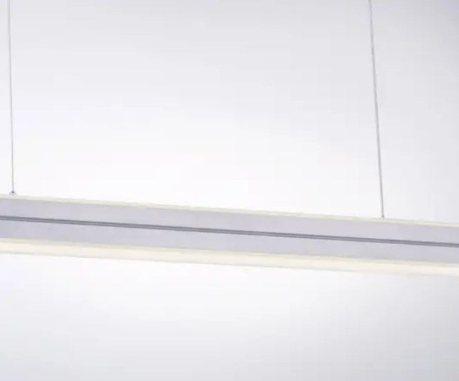 Paul Neuhaus Paul Neuhaus Niro Hanglamp RVS 27 Watt incl. Dimmer