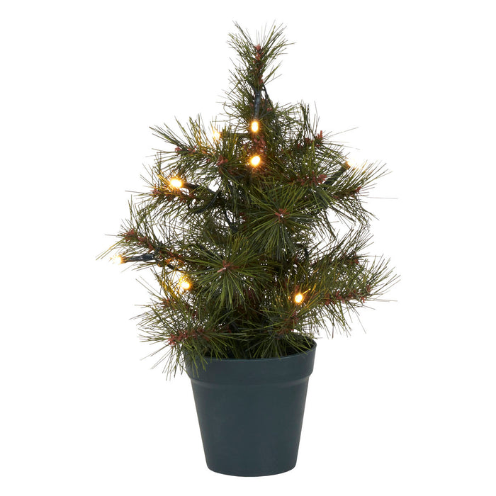 House Doctor Kerstboom, Pinus